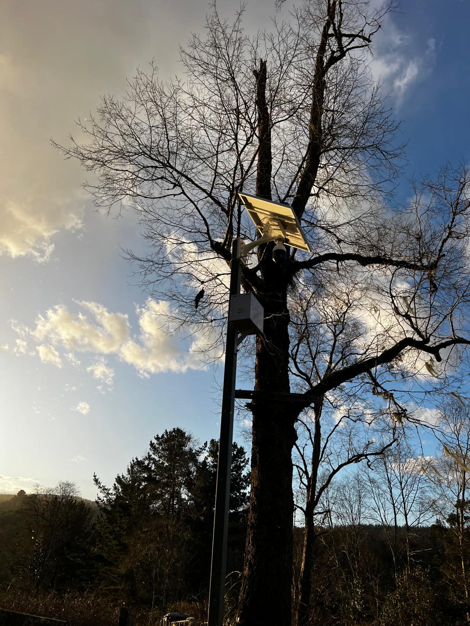 Instalación de cámaras de seguridad en áreas rurales